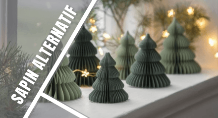 Les alternatives écologiques au sapin de Noël traditionnel