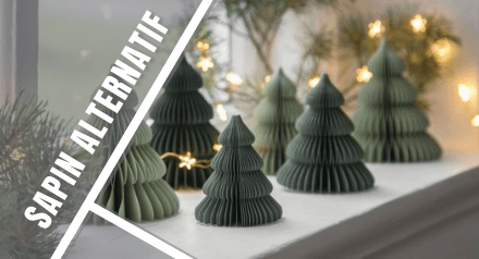 Ecological alternatives to the traditional Christmas tree